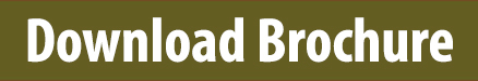 Download link for Lake Mead & Hollywood brochure